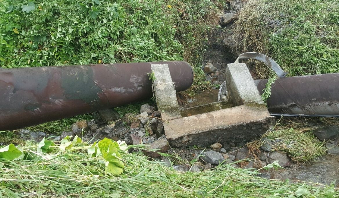 Rehabilitation of the Padu Diversion Weir in Roseau