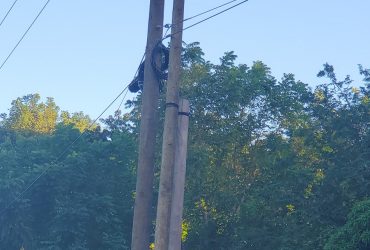 IRC Seeks to Address Removal of Unsafe Utility Poles