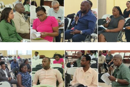 IRC Hosts Public Consultation on WACC for DOMLEC