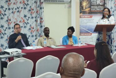 IRC Meets Stakeholders re DOMLEC’s Capital Investment Plan & Revenue Requirement