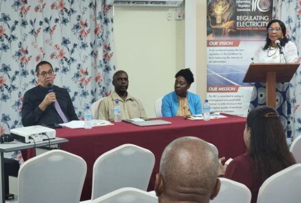 IRC Meets Stakeholders re DOMLEC’s Capital Investment Plan & Revenue Requirement