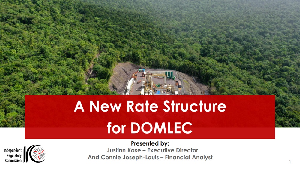 A New Rate Structure for DOMLEC